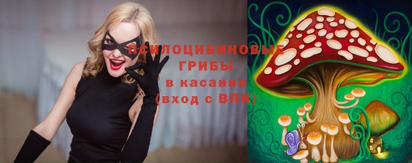 гидра Алексеевка