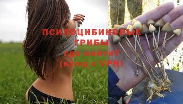 гидра Алексеевка